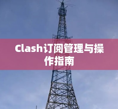 Clash订阅管理与操作指南