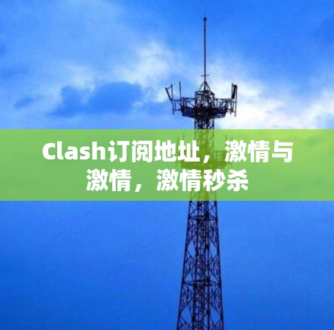 Clash订阅地址，激情与激情，激情秒杀