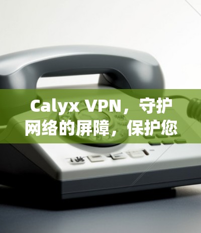 Calyx VPN,守护网络的屏障,保护您的数据安全 Calyx VPN,守护网络的屏障,保护您的数据安全