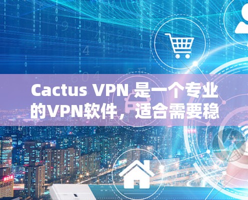 Cactus VPN 是一个专业的VPN软件，适合需要稳定性和高可用性的用户。以下是对该软件的详细介绍及使用建议