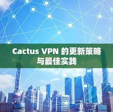Cactus VPN 的更新策略与最佳实践