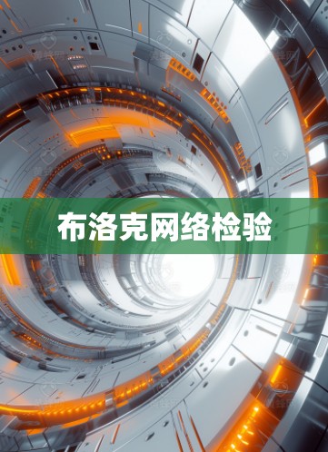布洛克网络检验
