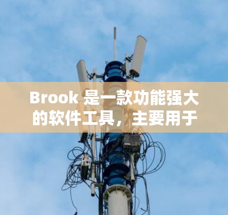 Brook 是一款功能强大的软件工具，主要用于数据分析、项目管理、配置和管理等方面。以下是一个详细的配置指南，帮助你顺利使用Brook