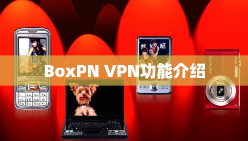 BoxPN VPN功能介绍