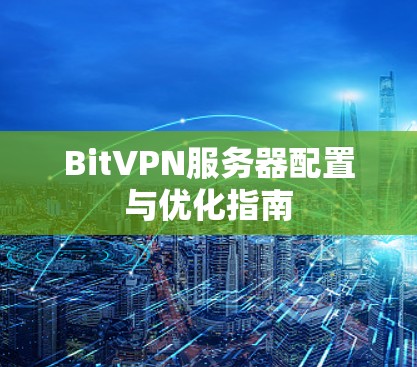 BitVPN服务器配置与优化指南