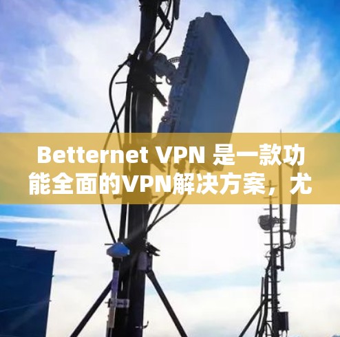 Betternet VPN 是一款功能全面的VPN解决方案，尤其适合个人用户和移动用户。它结合了加密包、多端访问、安全设置和隐私保护，提供了一个安全、高效和个性化的网络连接体验