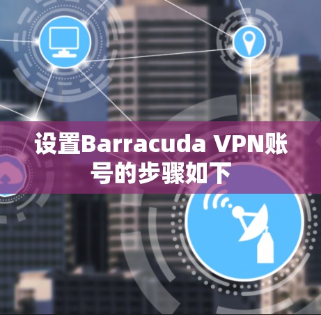 设置Barracuda VPN账号的步骤如下