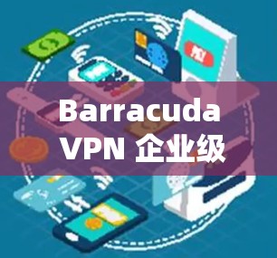 Barracuda VPN 企业级服务器部署方案
