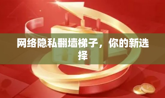 网络隐私翻墙梯子，你的新选择