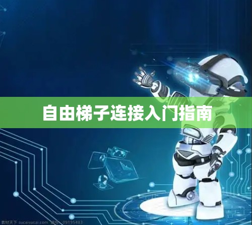 自由梯子连接入门指南
